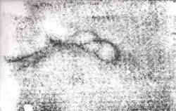 Law Of The Rope : In Dust... Law Of The Rope : In Dust...